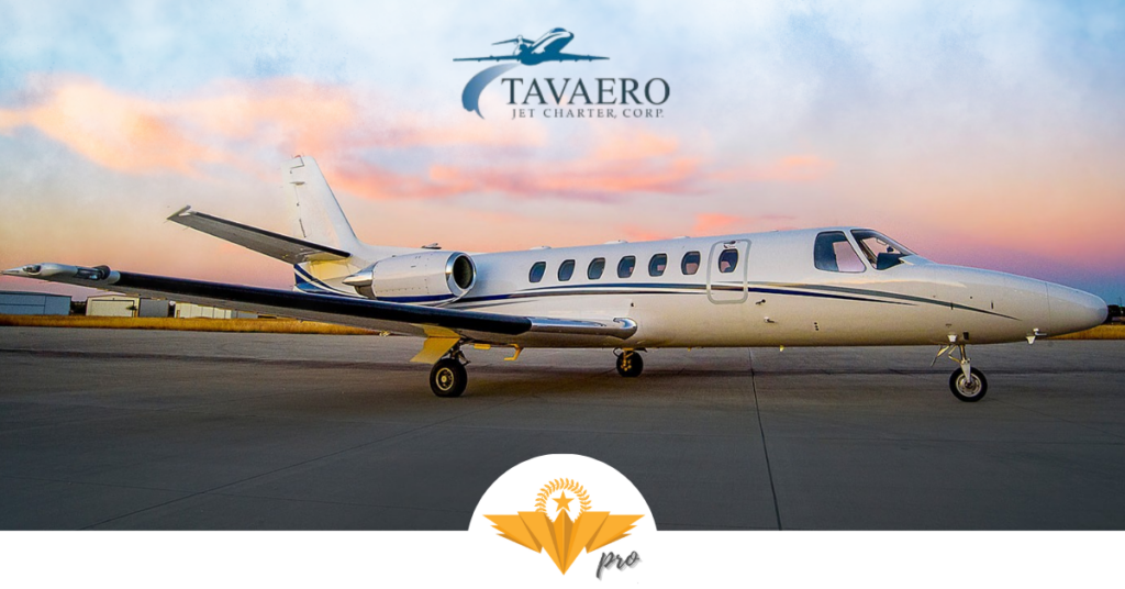 Tavaero WINGMAN PRO Erneuerung